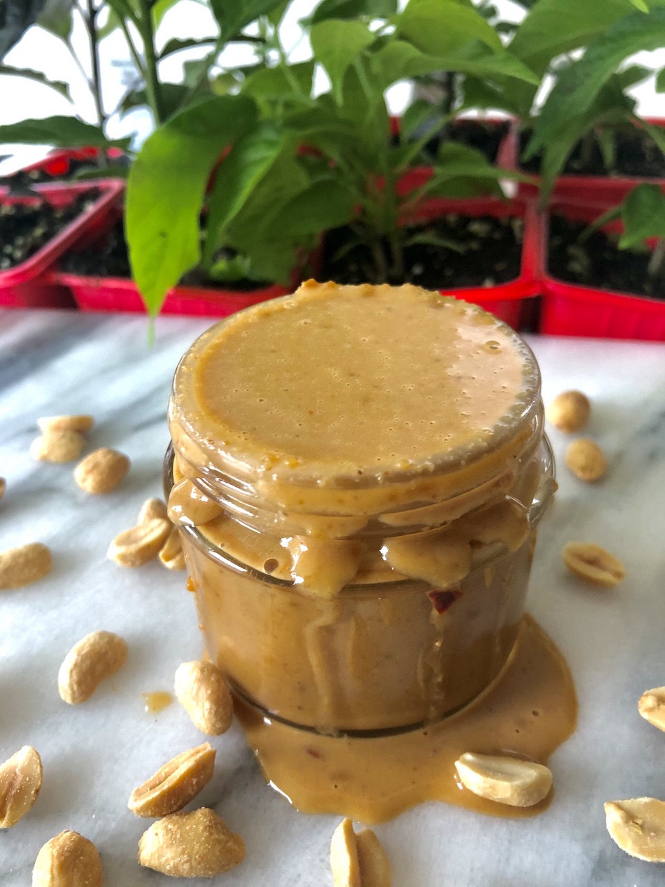 PeanutSauce